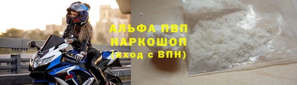стаф Алексин