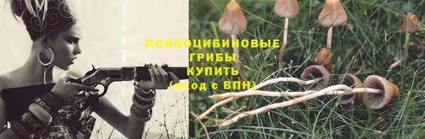 стаф Алексин
